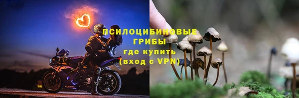 ешки Осинники