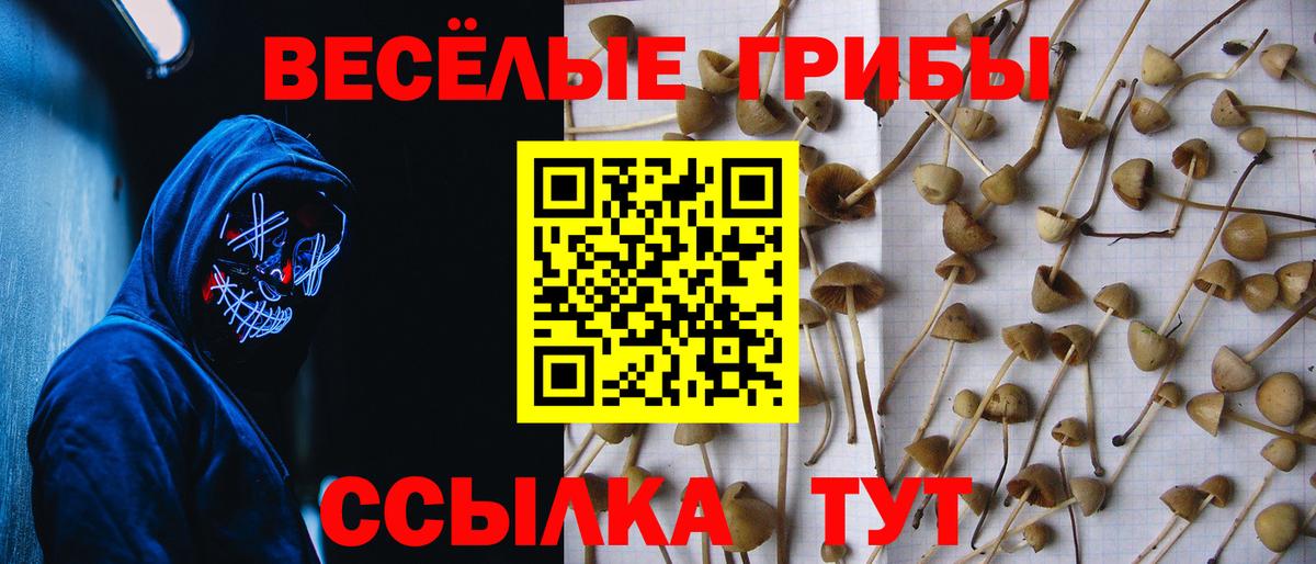 Псилоцибиновые грибы Psilocybine cubensis  Вход с VPN  Галлюциногенные грибы GOLDEN TEACHER  Скопин 