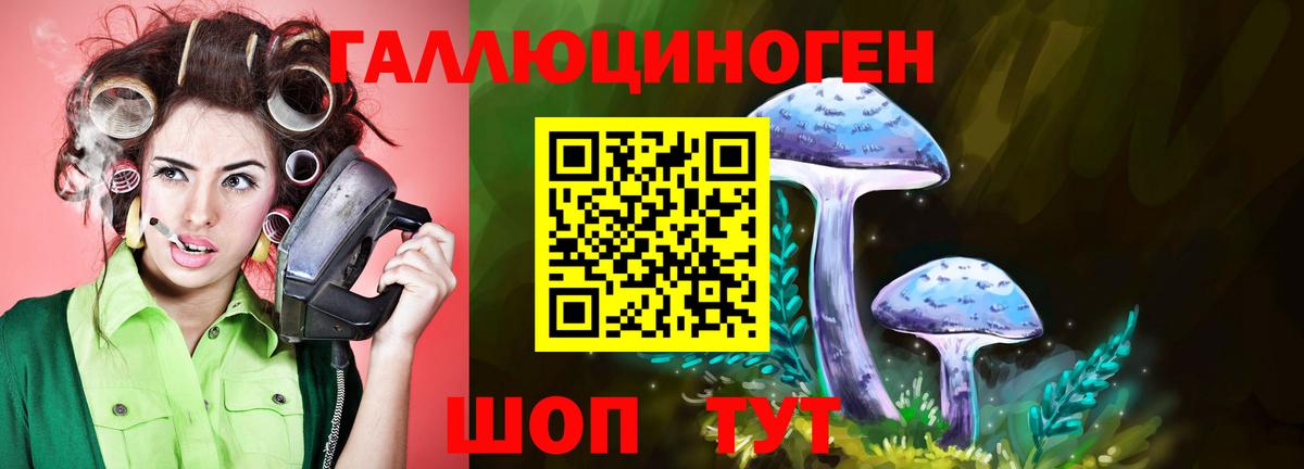 Псилоцибиновые грибы Psilocybine cubensis Скопин