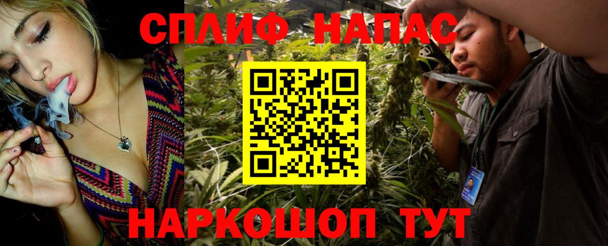 Бошки Шишки планчик Скопин